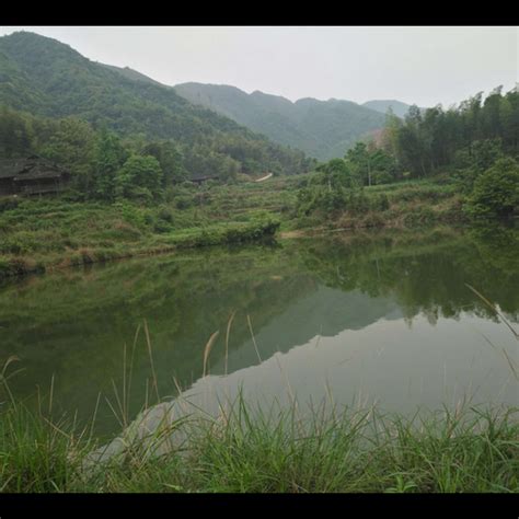 屋後有水池|後方有水池的家居風水會離婚, 風水池、陽宅風水、風水口訣、陽。